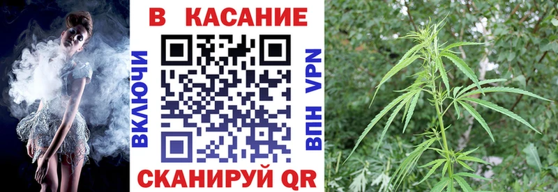 Магазин наркотиков Зерноград КОКАИН  Псилоцибиновые грибы  Мефедрон  Экстази  А ПВП 