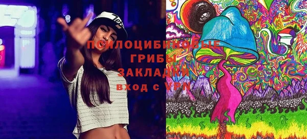 дурь Балахна