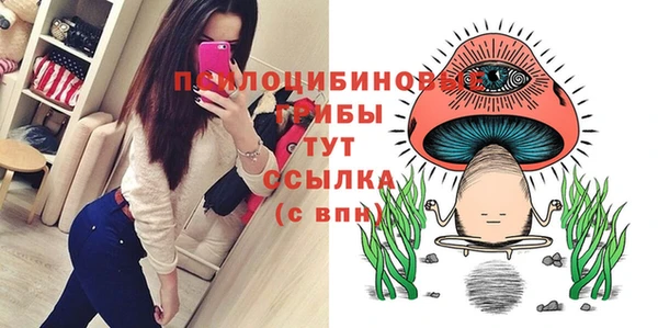 стаф Балабаново