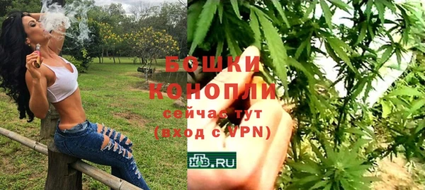 тгк Елизово